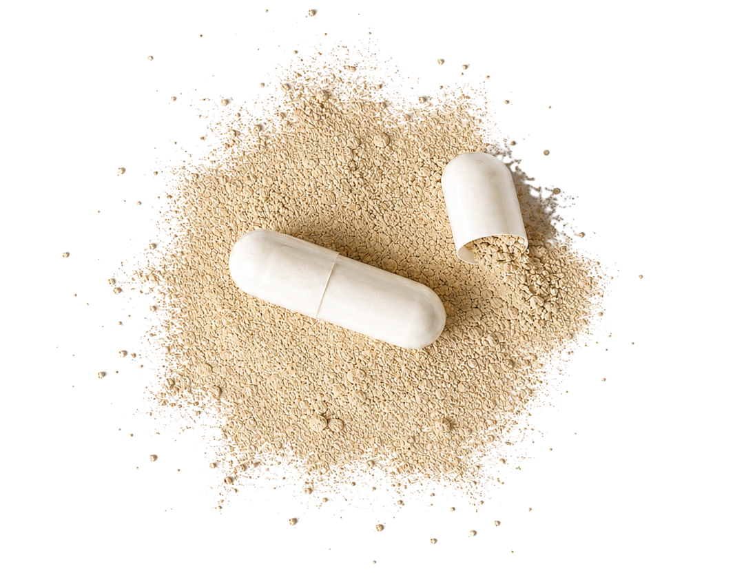 GLP-1 Digestive Support